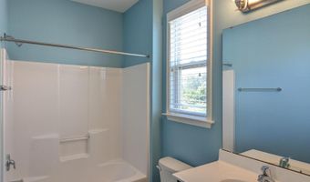 2377 Redbud Tree Dr, Apex, NC 27539