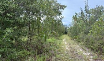 4539 NW Miller/White LN Rd, Altha, FL 32421