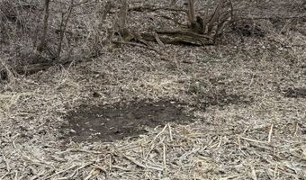 Simons Rd, Alma, WI 54610