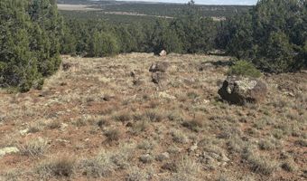 10 NE Kirkwood N8715, Concho, AZ 85924