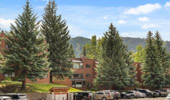 950 VINE St, Aspen, CO 81611