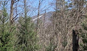 00 E Darling Hill Rd Lot #2, Burke, VT 05832