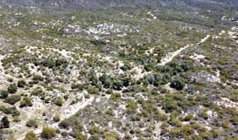38309 VALLEY OAK Ln, Warner Springs, CA 92086