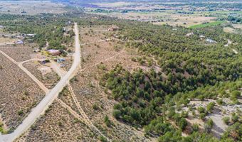 Lot 6 Nieman Road, Arroyo Hondo, NM 87513