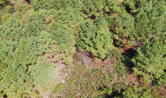 0 CR 320, Big Creek, MS 38914