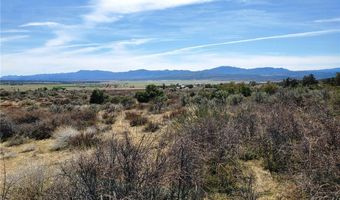 1 Mitchell Rd, Anza, CA 92539