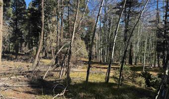 Taos Dr lot 173, Angel Fire, NM 87710