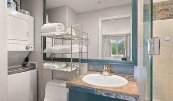326 Midland Ave 302, Aspen, CO 81611
