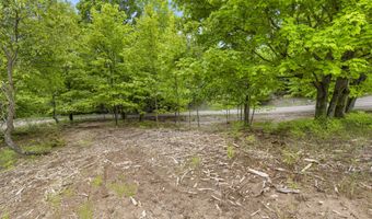 15380 Lake Bluff Dr, Arcadia, MI 49613