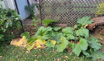 315 West St, Bristol, SD 57219