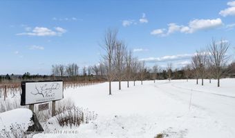 8370 Lakeview Rd, Alanson, MI 49706