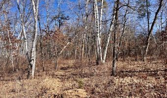 Tbd Forest Pines Drive, Nevis, MN 56467