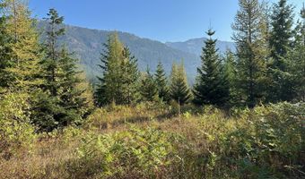 Tract 6 USFS 2294, Clark Fork, ID 83811