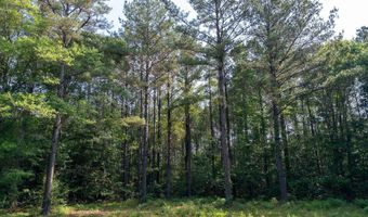 10 AC +/- Gravel Pit Lake Rd, Beaumont, MS 39423