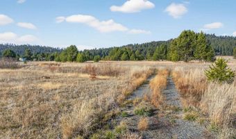 10201 Packsaddle Rd, Cascade, ID 83611
