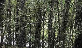 HIGHWAY 191 lot 32, Alpine, AL 35014