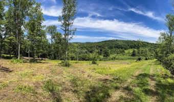 0 Woodland Hills Rd, Andes, NY 13731