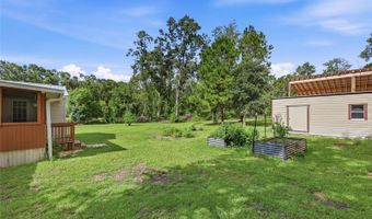9528 NW 235TH Ter, Alachua, FL 32615
