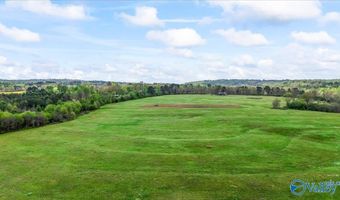 435 Sneadview Rd, Altoona, AL 35952