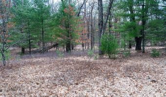 255 45 Ac Dover Dr, Adams, WI 53910