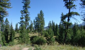Skunk Creek Road, Cascade, ID 83611
