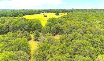 Tbd Dude Lane, Millsap, TX 76066