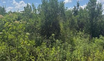 Pineview Rd, Alma, GA 31510