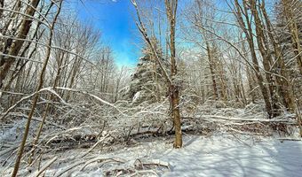00 Fawn Lake Rd, Addison, NY 14801