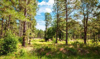 7175 BILL DORN Rd, Appling, GA 30802