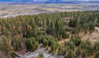 235 Job'S Canyon Ct, Gardnerville, NV 89460