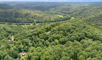 2401 Bell Point Rd, Beattyville, KY 41311