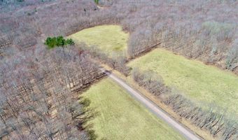 Lot 2 Doig Hollow Road, Andes, NY 13731