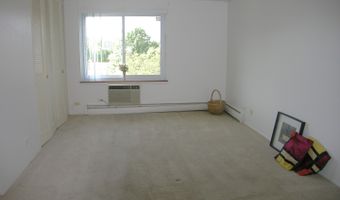 1216 S New Wilke Rd 406, Arlington Heights, IL 60005
