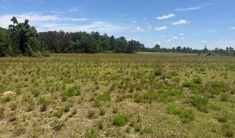 1983 Minton Chapel Rd, Bartow, GA 30413