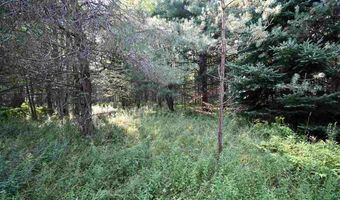 9537 LAKEVIEW, Alanson, MI 49706