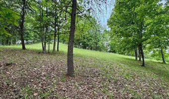 2062 Jake Fork Rd, Arnoldsburg, WV 25234