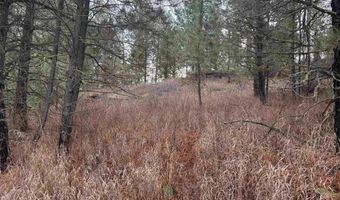 111 Cabarton Rd, Cascade, ID 83611