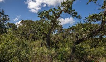 N McCampbell Street, Aransas Pass, TX 78336