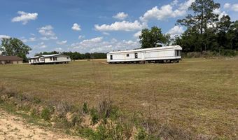 954 NE Robinson Rd - Tract #1, Barney, GA 31625