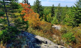 Lot 13-1 W. McMann & Meadow Roads, Addison, ME 04606