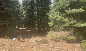 Fargo Rd, Alturas, CA 96101