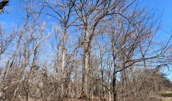 001 CR 532, Avalon, MS 38917