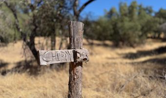 41902 Woodward Way, Ahwahnee, CA 93601