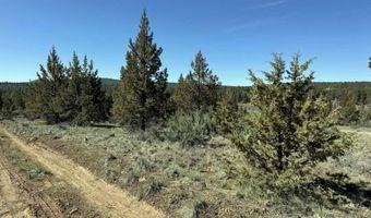 Bluebill Lane, Bonanza, OR 97623