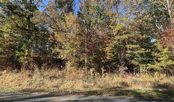 0 WALDROP Rd 10.82 Acres, Ashville, AL 35953