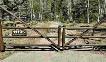 11109 County Road 742, Almont, CO 81210