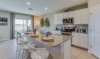 17881 NW 173RD Rd, Alachua, FL 32615