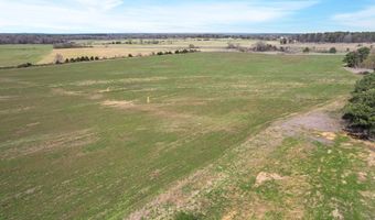 County Road 208, Abbeville, MS 38601