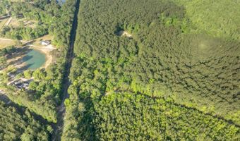 Ethridge Drive, Andrews, SC 29510