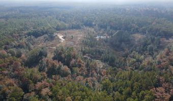 0 Progress Road Rd, Beaumont, MS 39423